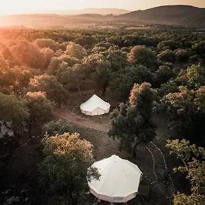 Glamping Lodg'ing Nature Camp Luberon